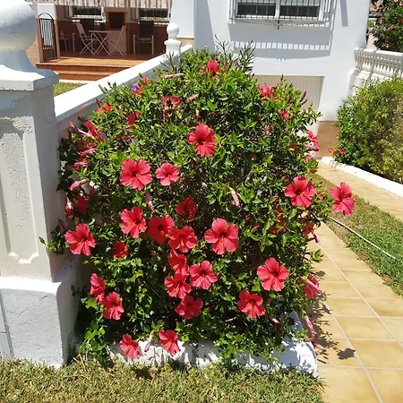Tuguest Roquetas Holiday home