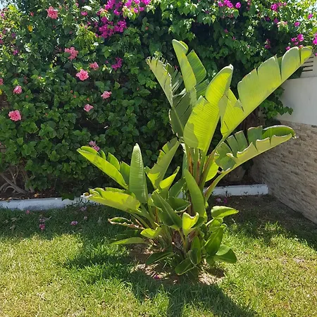 Holiday home Tuguest Roquetas Roquetas de Mar